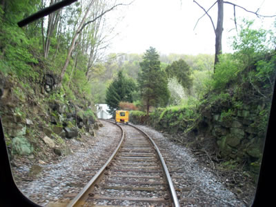 An interesting cut on the line.