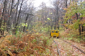 In the Allegheny National Forest