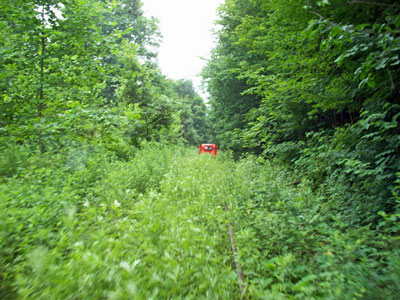 NYLE Cattraugus Branch