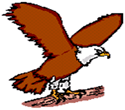 Nittany & Bald Eagle logo